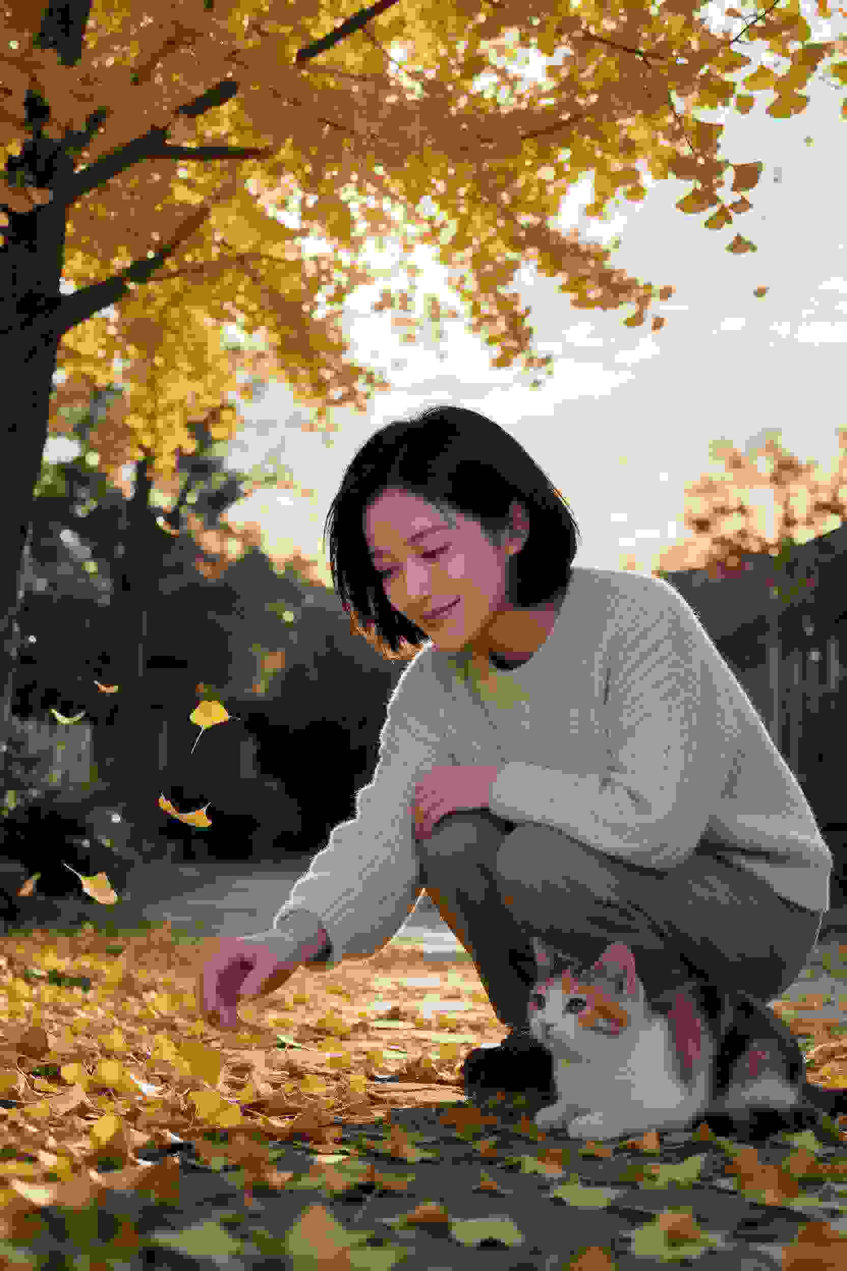 伦理小说